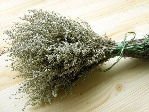 Wormwood is a popular plant against worms and parasites. 